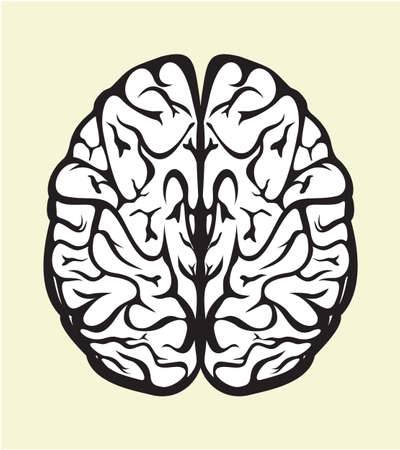 human brainのイラスト素材