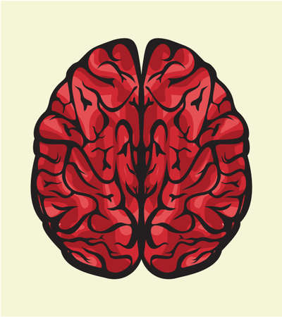 human brainのイラスト素材