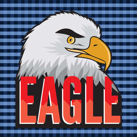 american bald eagleのイラスト素材