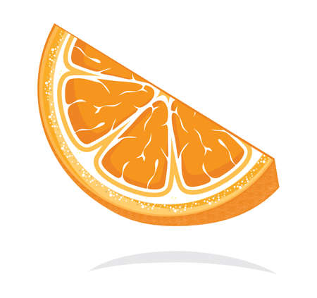 Slice of orangeのイラスト素材