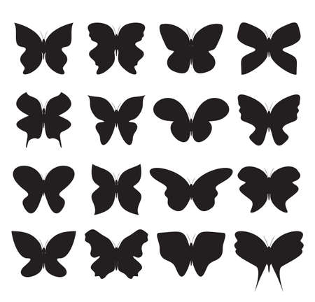 butterfly collectionのイラスト素材