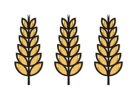 wheat vector iconのイラスト素材