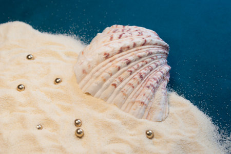 Large sea shell on sand and blue background with gold beads. Summer moodの写真素材