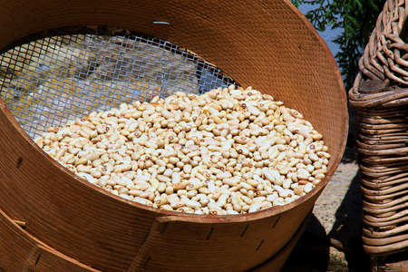 white beans in a sieve on the groundの写真素材