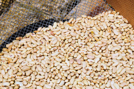 white beans in a sieve on the groundの写真素材