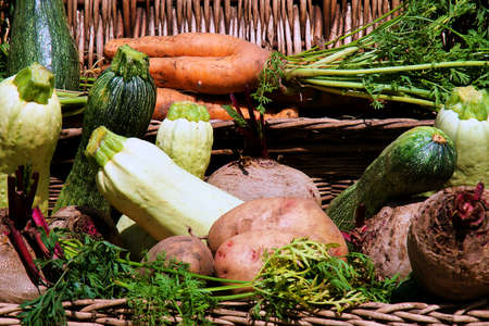 a basket full of various vegetables on the groundの写真素材