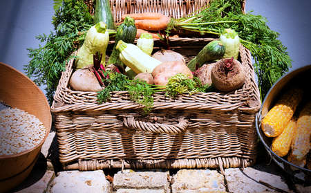 a basket full of various vegetables on the groundの写真素材