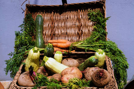 a basket full of various vegetables on the groundの写真素材