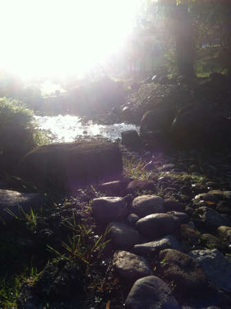 Jogging on a beautiful sunday morning. の素材