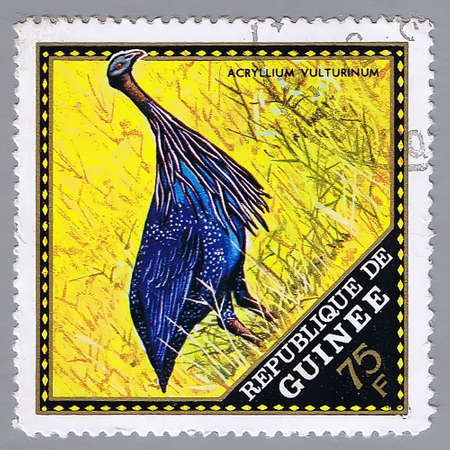 Republique de Guinee - CIRCA 1976: A stamp printed in Republique de Guinee shows image of birds, series, circa 1976 の写真素材