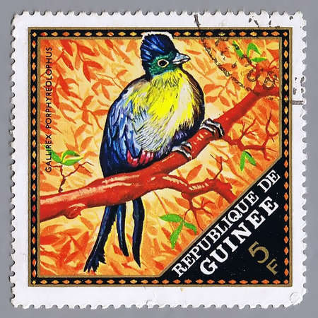 Republique de Guinee - CIRCA 1976: A stamp printed in Republique de Guinee shows image of birds, series, circa 1976 の写真素材