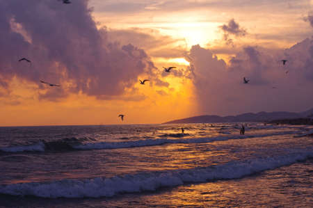 Evening sunsetの写真素材