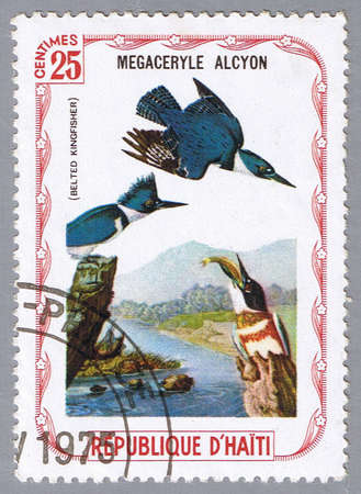 HAITI  CIRCA 1975: A stamp printed in Haiti shows Belted kingfisher, series devoted to the birds, circa 1975の写真素材