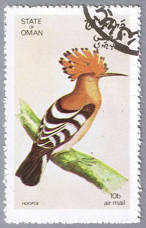 STATE OF OMAN  CIRCA 1972: A stamp printed in State of Oman shows hoopoe, series devoted to the birds, circa 1972の写真素材