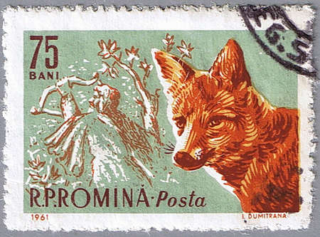 ROMANIA - CIRCA 1961: A stamp printed in Romania shows red fox, series, circa 1961の写真素材