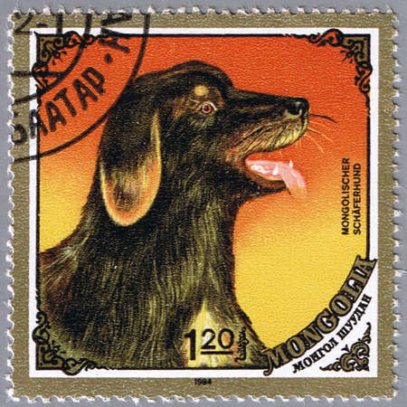 MONGOLIA - CIRCA 1984: A stamp printed in Mongolia shows Mongolian Sheepdog, series devoted to the dogs, circa 1984の写真素材