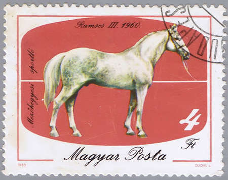 HUNGARY - CIRCA 1985: A stamp printed in Hungary shows a horse, a series devoted to the outstanding sports horses from different years, circa 1985の写真素材