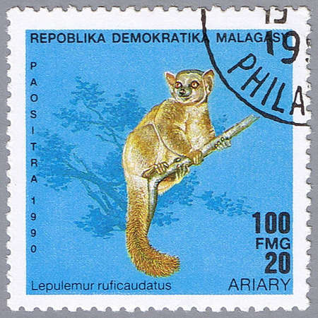 MALAGASY REPUBLIC - CIRCA 1990: A stamp printed in Malagasy republic shows Lepulemur ruficaudatus, series, circa 1990の写真素材