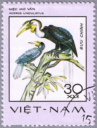 VIETNAM - CIRCA 1977: A stamp printed in Vietnam shows Aceros undulatus or wreathed hornbill, series is devoted to rare birds, circa 1977の写真素材