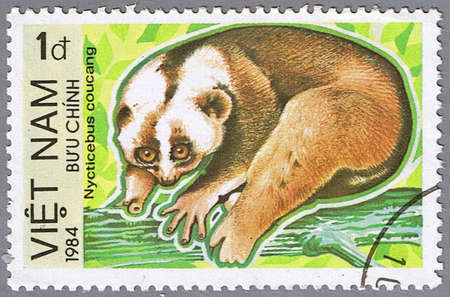 VIETNAM - CIRCA 1984: A stamp printed in Vietnam shows Nycticebus coucang or sunda slow loris, series is devoted to animals endangered, circa 1984の写真素材