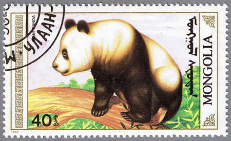 MONGOLIA - CIRCA 1990: A stamp printed in Mongolia shows an adult giant panda, series, circa 1990の写真素材