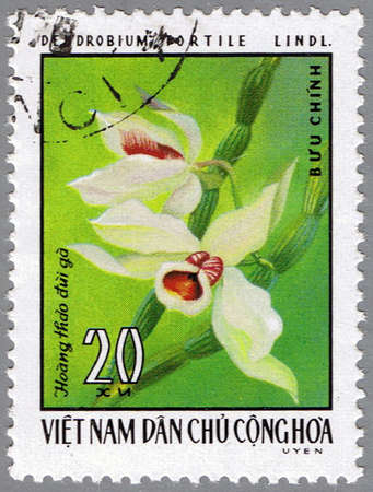 VIETNAM - CIRCA 1976: A stamp printed in Vietnam shows Dendrobium tortile, series is devoted to orchids, circa 1976の写真素材