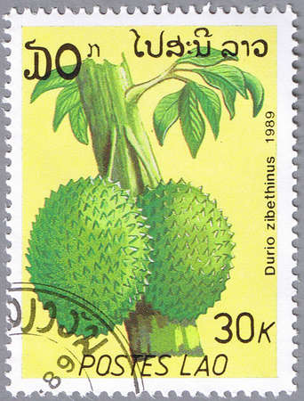 LAOS - CIRCA 1989: A stamp printed in Laos shows Durio zibethinus or Durian, series, circa 1989