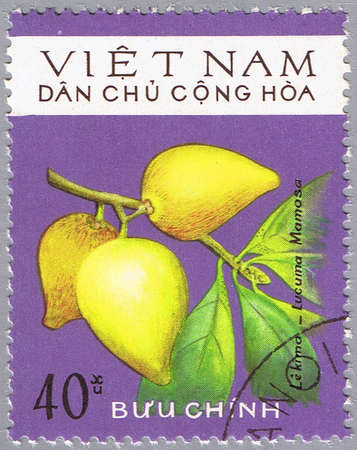 VIETNAM - CIRCA 1975: A stamp printed in Vietnam shows Lucuma mammosa or mamey sapote, series, circa 1975のeditorial素材