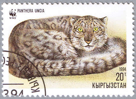 KYRGYZSTAN - CIRCA 1994: A stamp printed in Kyrgyzstan shows Panthera uncia or snow leopard, series,...