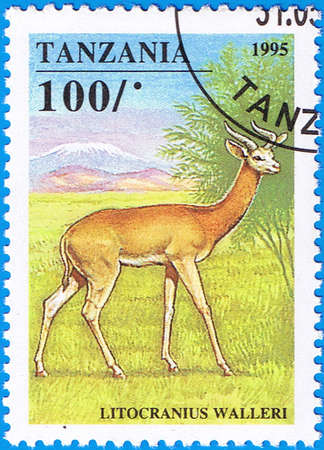 TANZANIA - CIRCA 1995: A stamp printed in Tanzania shows Litocranius walleri or Gerenuk, series, circa 1995のeditorial素材