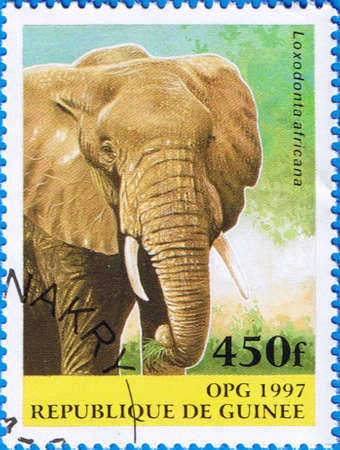 GUINEA  CIRCA 1997: A stamp printed in Guinea shows Loxodonta africana, series, circa 1997のeditorial素材