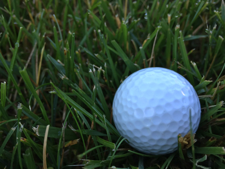 Generic white golf ball sitting in the tall grass rough on a course outside on a beautiful dayの写真素材