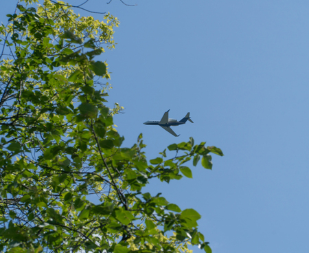 View of private luxury jet airplane flying overhead past tree greenery branchs above a park past clear blue sky backgroundの写真素材
