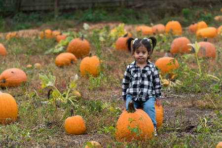 Adorable young toddler baby girl sitting on a pumpkin in a field in a traditional autumn portrait outfit having fun before family photo takingの写真素材