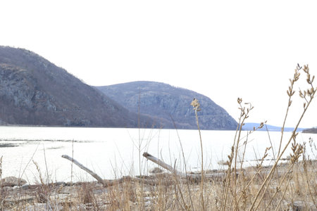 Winter landscape with a lake and dry grass on the shore.の写真素材
