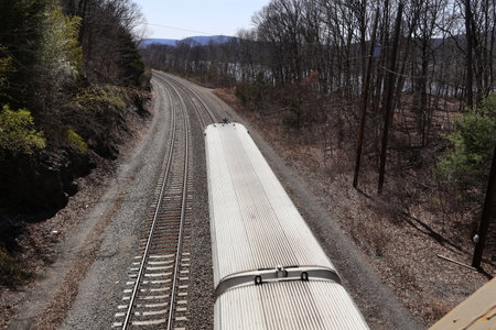 Railway tracks going through the woods in the spring of the yearの写真素材