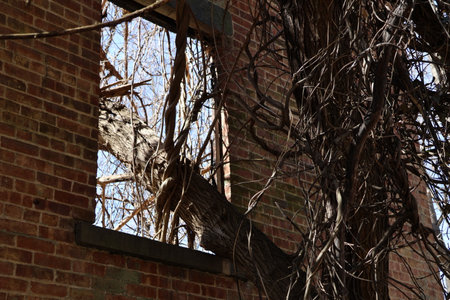 Broken window of an old brick building, closeup of photoの写真素材