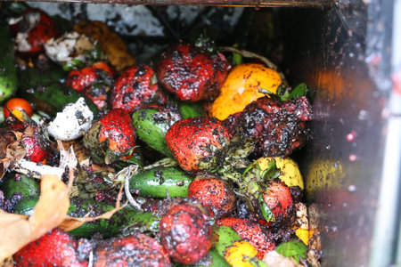 composted food waste being recycled.の写真素材