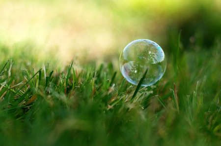 Bubble in grass