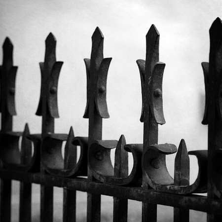 Spikedの写真素材