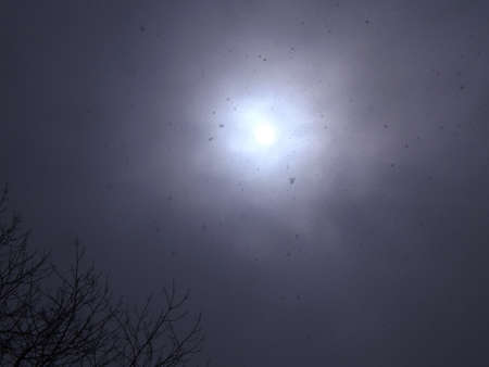 sun and snow