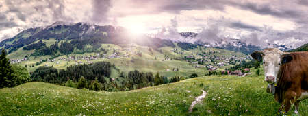 Mountain summer in the alpsの写真素材