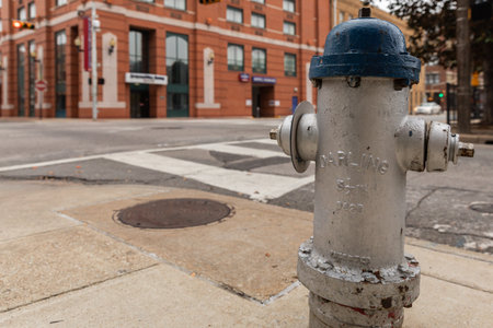 A fire hydrant on a street in downtown.