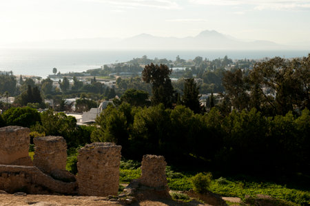 View of the city of Tunisの写真素材