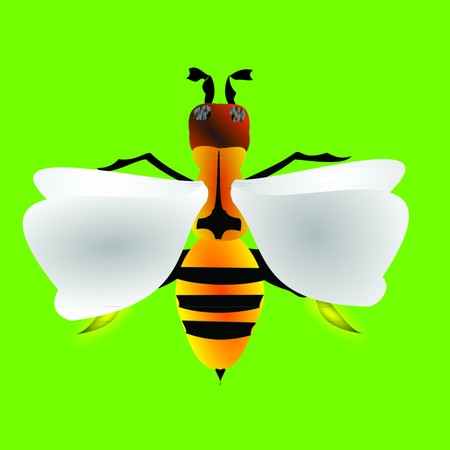 bee 3D illustrationの写真素材