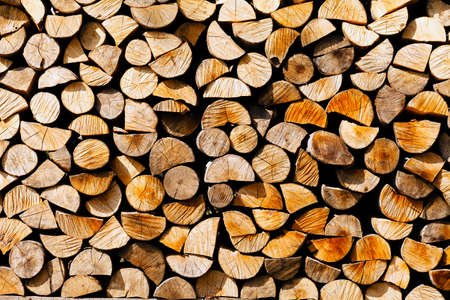 Background of dry chopped logsの写真素材