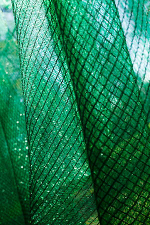 thick green plastic safety net for construction site, note shallow depth of fieldの写真素材