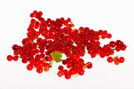 Red currants isolated on white background