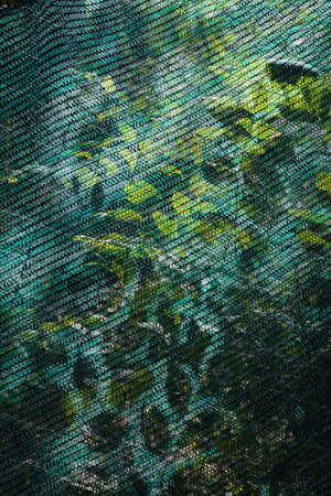 small green safety net in construction