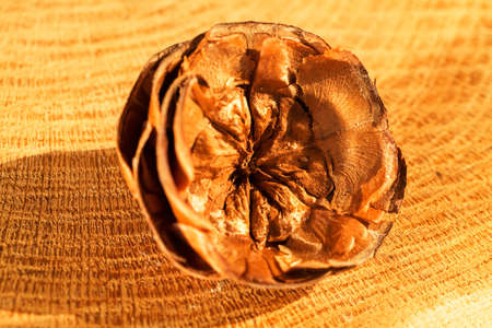 type of pine cones on a wooden base, note shallow depth of fieldの写真素材
